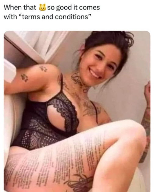Zmluvne podmienky, cita to dakto?